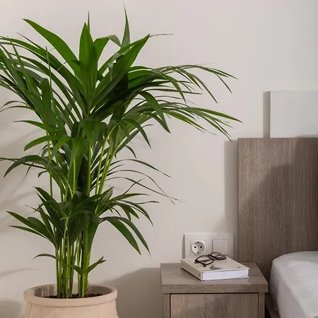 Apartament Abbraccio - Contemporary Seaside
